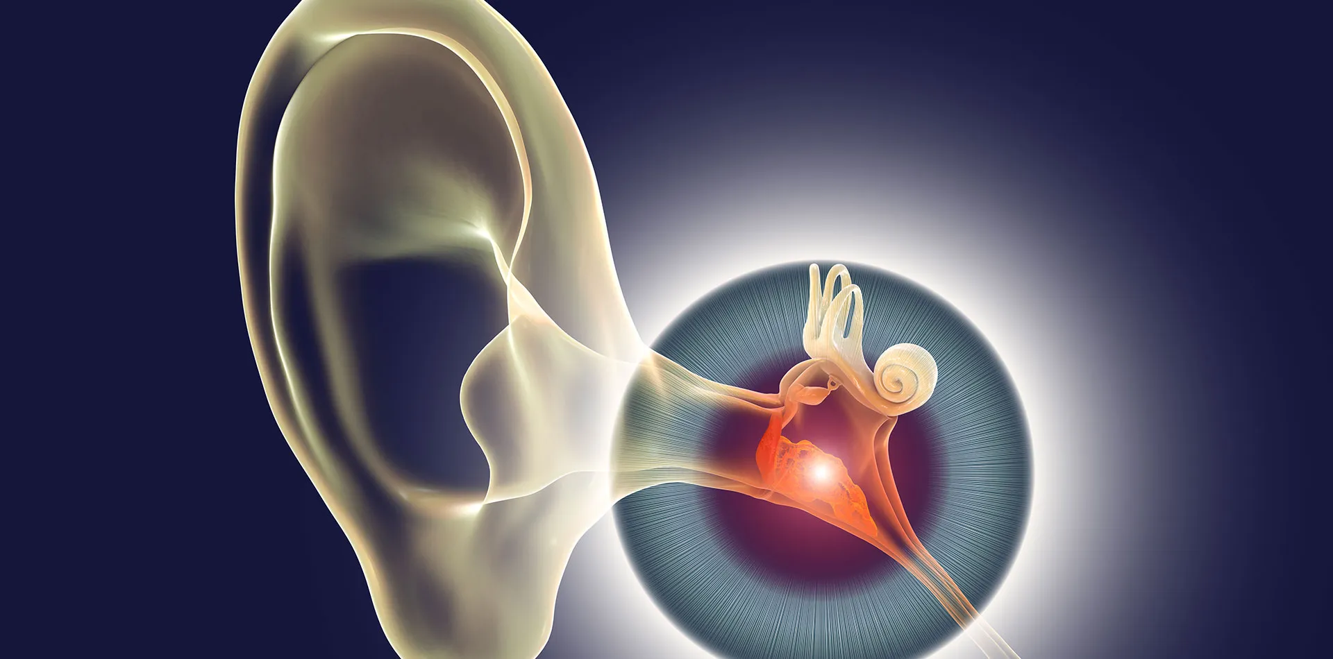 Read more about: Middle ear infection